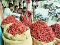 लाल मिरचीला महागाईची फोडणी - Marathi News | Inflation of inflation by red pepper | Latest pimpri-chinchwad News at Lokmat.com