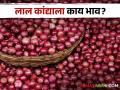 Onion Market : लाल-उन्हाळ कांद्याला सरासरी काय दर मिळाला? वाचा सविस्तर बाजारभाव - Marathi News | Latest News todays Summer and red onion market price in maharashtra market yards | Latest agriculture News at Lokmat.com