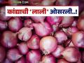 Onion Farmer : लाल कांदा उत्पादकांना पुन्हा मागचे पाढे पंचावन्नच म्हणण्याची वेळ; वाचा काय आहे कारण - Marathi News | Onion Farmer: It's time for red onion growers to say goodbye to the past; Read what's the reason | Latest agriculture News at Lokmat.com