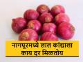 Kanda Bajar Bhav: राज्यात या ठिकाणी झाली सर्वाधिक उन्हाळ कांद्याची आवक, असा मिळतोय भाव - Marathi News | Kanda Bajar Bhav: know the highest summer onion arrival in state apmc's | Latest agriculture News at Lokmat.com