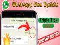 WhatsApp: व्हॉट्सॲपवर तीन लाल टिक खरंच येणार का? व्हायरल मेसेजमागील सत्य काय? - Marathi News | fact check Will there really be three red ticks on WhatsApp | Latest fact-check News at Lokmat.com