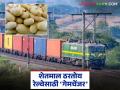 Shetmal Vahatuk : शेतमालाचा सुवर्णयोग; बटाट्यांनी दिला मध्य रेल्वेला 'जॅकपॉट' वाचा सविस्तर - Marathi News | latest news Shetmal Vahatuk: Golden sum of agricultural products; Potatoes gave Central Railway a 'jackpot' Read in detail | Latest agriculture News at Lokmat.com