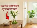 Vastu Tips: तुमच्या घरात 'निगेटिव्ह एनर्जी' तर नाही ना? ओळखा 'या' लक्षणांवरून आणि करा ५ उपाय - Marathi News | Vastu Tips: Is there 'negative energy' in your house? Identify it from 'these' symptoms and take 5 measures | Latest bhakti News at Lokmat.com