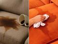 सोफा-बेडवर चहाकॉफी सांडून पडलेले डाग काढण्यासाठी एकदम सोपी ट्रिक, कळणारही नाही इथे डाग होता... - Marathi News | remove tea stains from sofa at home remove coffee stains from sofa naturally remove old tea coffee stains from sofa & bed | Latest sakhi News at Lokmat.com