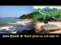 कोंकणातील सहलीसाठी नावाजलेले समुद्रकिनारे | Offbeat Beaches You Should Explore Before You Die - Marathi News | Famous beaches in Konkan | Offbeat Beaches You Should Explore Before You Die | Latest oxygen Videos at Lokmat.com