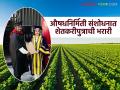 Success Story : औषधनिर्मिती संशोधनात शेतकरीपुत्राची भरारी; पंजाब विद्यापीठाचा डॉक्टरेट सन्मान - Marathi News | latest news Success Story: Farmer's son's breakthrough in pharmaceutical research; Doctorate honor from Punjab University | Latest agriculture News at Lokmat.com