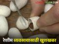 रेशीम अंडीपुंज निर्मितीकरिता आवश्यक तुती रेशीम बीज कोषाच्या खरेदी दरात वाढ - Marathi News | Increase in procurement rate of silk cocoon for production of mulberry silk seed required | Latest agriculture News at Lokmat.com