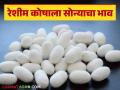 Sericulture Market : रेशीम शेतीला सोन्याचे दिवस; वाचा रेशीम कोषला किती मिळतोय दर - Marathi News | Sericulture Market: Golden days for silk farming; Read how much price the silkworm farm is getting | Latest agriculture News at Lokmat.com