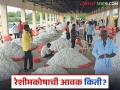 Silkworm Market: बीडमध्ये एकाच दिवशी 'इतक्या' किलो रेशीमकोषाची आवक वाचा सविस्तर - Marathi News | Silkworm Market: Arrival of 'so many' kilos of silkworms in a single day in Beed Read in detail | Latest agriculture News at Lokmat.com