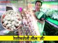 रेशीम उद्योगात महिलांना आदर्श ठरणारी रेशीम 'प्रतिभा' आहे तरी कोण? - Marathi News | Who is the role model silk talent for women in the silk industry? | Latest agriculture News at Lokmat.com