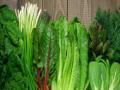 या हिरव्या पालेभाज्या खा, कोरोनानंतरचा थकवा, ताण दूर करा... - Marathi News | Eat these green leafy vegetables, relieve post-coronary fatigue, stress ... | Latest health News at Lokmat.com