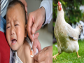 Strange thing happening in China Parents are giving Chicken injection to their children's - Hindi News | Strange thing happening in China Parents are giving Chicken injection to their children's | Latest international Photos at Lokmattimes.com