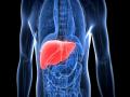 Liver Infection: लिव्हरमध्ये इन्फेक्शन झाल्यावर शरीर देतं हे संकेत, जाणून घ्या उपाय.... - Marathi News | The body gives these signs when there is an infection in the liver | Latest health Photos at Lokmat.com
