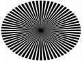 Optical Illusion : तुम्हाला फोटोत कोणता रंग दिसला? त्यावरून कळेल तुमचं व्यक्तीमत्व! - Marathi News | Optical illusion : Which colour you see tell about what kind of genius you are | Latest social-viral News at Lokmat.com