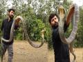 VIDEO : King Cobra सोबत खेळत होता व्यक्ती, अचानक त्याने केला हल्ला आणि मग... - Marathi News | Man was traying to catch King cobra and he attack, people shocking reaction viral | Latest social-viral News at Lokmat.com