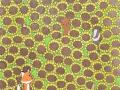 Optical Illusion: फोटोत लपलं आहे एक फुलपाखरू, शोधून शोधून दमाल.... - Marathi News | Optical illusions : Can you find butterfly hidden in viral photo | Latest social-viral News at Lokmat.com