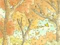 Optical Illusion: या फोटोत किती खारूताई लपल्या आहेत? शोधून दाखवा - Marathi News | Optical illusion : Can you find how many squirrels are hidden in this picture | Latest social-viral News at Lokmat.com