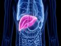 हे 7 संकेत सांगतात तुमचं लिव्हर होत आहे खराब, वेळीच व्हा सावध! - Marathi News | These are the seven symptoms of liver diseases do not ignore | Latest health Photos at Lokmat.com