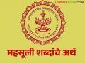 निस्तारपत्रक, जिन्नसवार, वरसाल, पारडी जमीन या महसूली शब्दांचे अर्थ जाणून घेऊया! - Marathi News | | Latest agriculture News at Lokmat.com