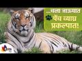 चला जाऊयात पेंच व्याघ्र प्रकल्पात | Pench Tiger Reserve | Pench Tiger Reserve Nagpur | Lokmat Sakhi - Marathi News | Let's go to the Pench Tiger Project | Pench Tiger Reserve | Pench Tiger Reserve Nagpur | Lokmat Sakhi | Latest sakhi Videos at Lokmat.com