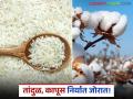 Rice Export : भंडारा-गडचिरोलीचा तांदूळ परदेशात लोकप्रिय; निर्यातीला विक्रमी वाढ वाचा सविस्तर - Marathi News | latest news Rice Export: Bhandara-Gadchiroli rice popular abroad; Exports record growth Read in detail | Latest agriculture News at Lokmat.com