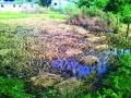 परतीच्या पावसाचा रायगडला तडाखा - Marathi News | Returning rain hit Raigad district | Latest raigad News at Lokmat.com