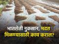 भातशेतीचे नुकसान; ७२ तासाच्या आत विमा कंपनीला कळवा - Marathi News | Damage to rice fields; Inform the insurance company within 72 hours | Latest agriculture News at Lokmat.com