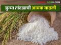 नवा तांदूळ एप्रिलमध्ये; तांदळाचे दर मात्र नियंत्रणात - Marathi News | New rice in April; But rice prices under control | Latest agriculture News at Lokmat.com