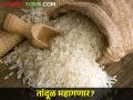 कोलम, बासमती, आंबेमोहोरची वाढली गोडी; कसा आहे तांदळाचा बाजारभाव - Marathi News | Increased sweetness of kolam, basmati, ambemohor; How is the market price of rice? | Latest agriculture News at Lokmat.com