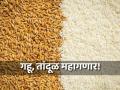 गहू, तांदूळ महाग होणार, पाण्याची टंचाईही भासणार; अब्जावधी लोकांना करावा लागेल सामना - Marathi News | Wheat, rice will become expensive, there will also be water shortage; billions of people will have to deal with it | Latest national News at Lokmat.com