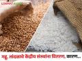 प्रत्येकी 2 लाख मेट्रिक टन गहू आणि तांदळाचे केंद्रीय संस्थांना वितरण, नेमकं कारण काय?  - Marathi News | Latest News Distribution of 2 lakh metric tonnes of wheat and rice each to central agencies | Latest agriculture News at Lokmat.com