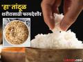 फिट राहा! २ वेळा भात खाल्ल्याने वजन वाढतं?; दिवसातून किती वेळा, किती प्रमाणात खावा, जाणून घ्या - Marathi News | health tips is it healthy to eat rice more than once in day | Latest health Photos at Lokmat.com