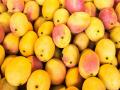 अमेरिका चाखणार भारतीय आंब्याची चव - Marathi News | Indian mango in american market from jnpt nhava sheva mumbai | Latest pune News at Lokmat.com