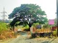 मावळातील धरणांची सुरक्षा रामभरोसे - Marathi News | Ram Bharoschel protects the Maval dams | Latest pimpri-chinchwad News at Lokmat.com