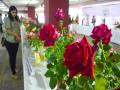 बघा विविध रंगांचे गुलाब, जे मोहून टाकतील तुमचे मन  - Marathi News | Rose exhibition with different colors | Latest pune Photos at Lokmat.com