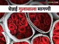चेन्नईवरून रंगीबेरंगी गुलाबांची मोठ्या प्रमाणात आवक; कसा मिळतोय दर - Marathi News | maximum flow of colorful roses from Chennai; How are you getting the rate? | Latest agriculture News at Lokmat.com