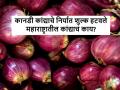 Onion Export duty: कानडी खासदाराच्या विनंतीनंतर बंगलोरच्या कांद्यावरील निर्यात शुल्क हटविले - Marathi News | Onion Export duty: Banlore rose onion export duty exempted by central government | Latest agriculture News at Lokmat.com