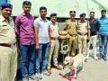 नागपुरात एपी एक्स्प्रेसमध्ये ६० हजारांचा गांजा जप्त - Marathi News | Rs.60,000 ganja seized in AP Express in Nagpur | Latest nagpur News at Lokmat.com