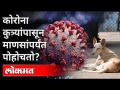 कोरोना कुत्र्यांपासून माणसांपर्यंत पोहोचतो? Corona Reach From Dogs To Humans? New Strain Of Covid19 - Marathi News | Corona reaches from dogs to humans? Corona Reach From Dogs To Humans? New Strain Of Covid19 | Latest international Videos at Lokmat.com