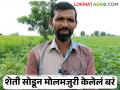 पिकांवर होणारा खर्च हि शेतीतून निघेना; शेतकरी बांधव मेटाकुटीला - Marathi News | | Latest agriculture News at Lokmat.com