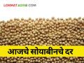 जाणून घ्या आजचे सविस्तर सोयाबीनचे दर - Marathi News | maharashtra agriculture farmer todays soybean rate market yard market price | Latest agriculture News at Lokmat.com