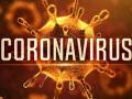 CoronaVirus : गावात ‘कोरोना’ची खोटी अफवा; भीतीचे वातावरण - Marathi News | False rumors of 'Corona' in the village; An atmosphere of fear | Latest vashim News at Lokmat.com