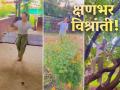 नारळाच्या बागा, सारवलेलं अंगण अन्...; रुपाली भोसले रमली गावाकडच्या वातावरणात, शेअर केला व्हिडीओ  - Marathi News | marathi television actress rupali bhosale enjoying vacation in konkan video viral | Latest filmy News at Lokmat.com