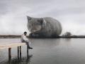 फोटो : समजा जर मांजर आता आहे त्यापेक्षा मोठ्या आकाराची असती तर.... - Marathi News | Russian Artist Creates Images That Show How Earth Would Look If Cats Were A Lot Bigger | Latest social-viral Photos at Lokmat.com