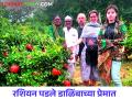 रशियन झाले फिदा; आटपाडीच्या डाळिंबाचा सातासमुद्रापार डंका - Marathi News | Atpadi's Pomegranate Stings Across the Sea; Russian became fall in love pomegranate farming | Latest agriculture News at Lokmat.com