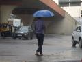 उपराजधानीत पाऊस अन गारवा; वातावरणात अचानक बदल - Marathi News | Rain in the sub-capital; A sudden change in climate | Latest nagpur News at Lokmat.com