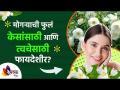 मोगऱ्याच्या फुलांचे आश्चर्यकारक फायदे | Mogra flower for hair growth and beautiful skin Lokmat sakhi - Marathi News | The amazing benefits of coconut flowers | Mogra flower for hair growth and beautiful skin Lokmat sakhi | Latest sakhi Videos at Lokmat.com