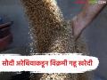 सौदी अरेबियाकडून 7 लाख 94 हजार मेट्रिक टन गहू खरेदी, देशांतर्गत मार्केटमध्ये काय दर मिळतोय?  - Marathi News | Latest news 7 lakh 94 thousand metric tonnes of wheat purchased from Saudi Arabia | Latest agriculture News at Lokmat.com