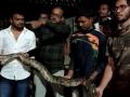 गावकऱयांच्या तावडीतून अजगराची केली सुटका - Marathi News | The snake escaped from the clutches of the villagers | Latest yavatmal News at Lokmat.com