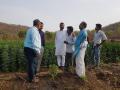 कृषी राज्यमंत्र्यांचा ताफा जेव्हा शेतकऱ्याच्या बांधावर थांबतो... - Marathi News | agriculture minister stops his convoy on field at khamgaon | Latest buldhana News at Lokmat.com